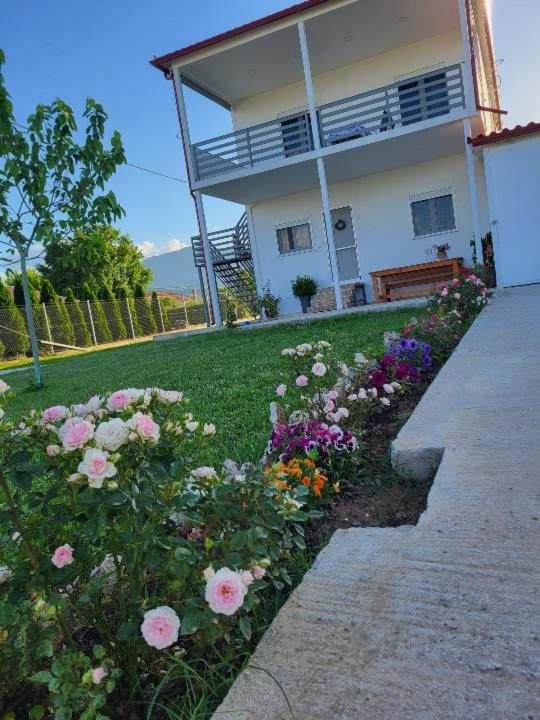 Countryside Apartments First Floor Трикала Экстерьер фото